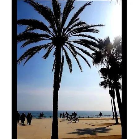 Comfort Playa Poblenou Appartement
